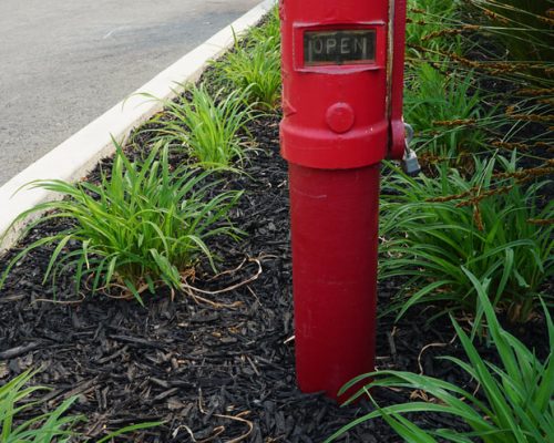 A red fire hydrant labeled "OPEN" stands amidst green plants and mulch alongside a paved area.